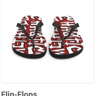 Chaotic Methodz Flip-Flops